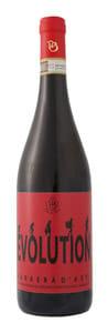 Paulo Berta Evolution Barbera d'Asti