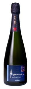 Henri Giraud Hommage au Pinot Noir Grand Cru Ay