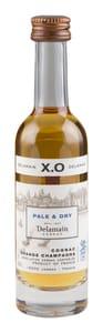 Delamain Pale & Dry Grande Champagne