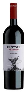 Xenysel Pie Franco