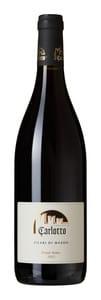 Carlotto Filari di Mazon Pinot Nero
