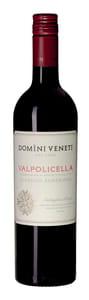 Domini Veneti Valpolicella Classico Superiore