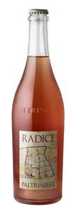 Paltrinieri Radice Lambrusco di Sorbara