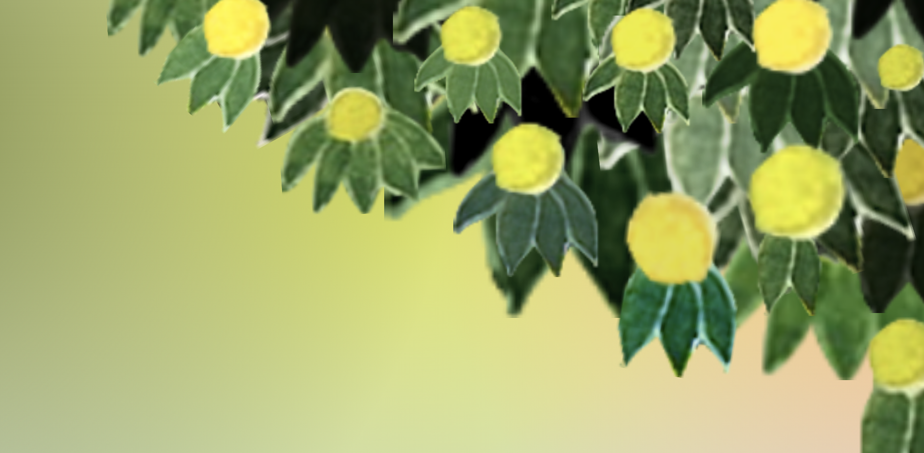 background-image