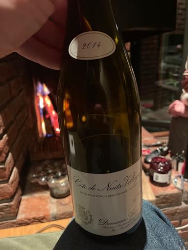 Domaine Denis Bachelet Cote de Nuits-Villages Rouge