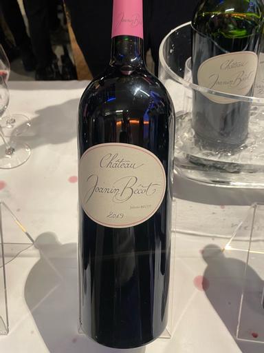 Chateau Joanin Becot Castillon-Cotes de Bordeaux