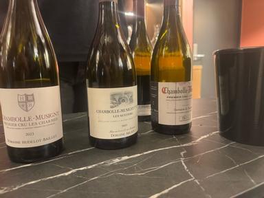 Domaine Hudelot-Baillet Chambolle-Musigny Premier Cru Les Charmes