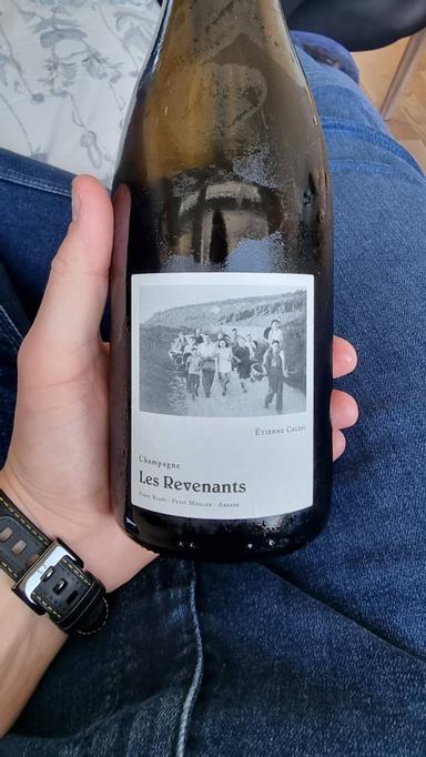 Etienne Calsac Les Revenants