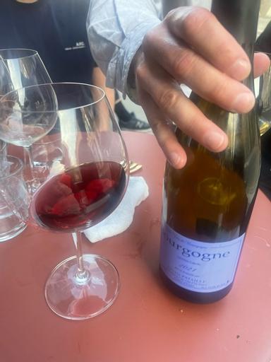 Sylvain Pataille Bourgogne Pinot Noir