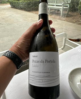 Valdesil Godello Pezas Portela Valdeorras