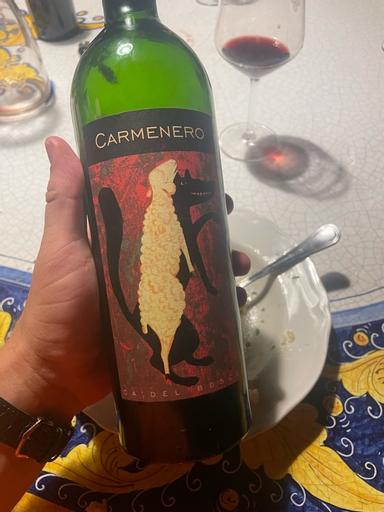 Ca' Del Bosco Carmenero VdT