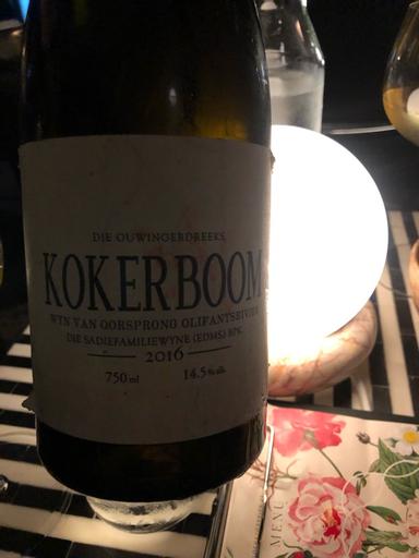 The Sadie Family Kokerboom Olifants River