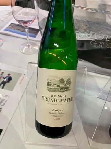 Willi Brundlmayer Terrassen Gruner Veltliner Kamptal