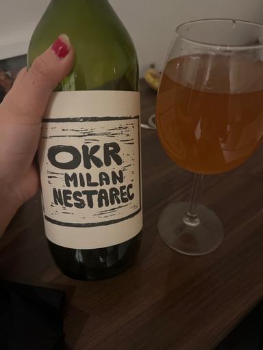 Milan Nestarec OKR