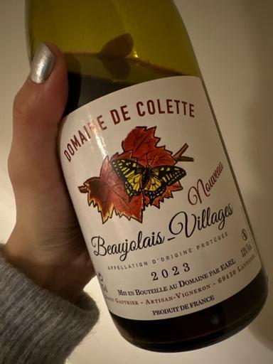 Dom. de Colette Beaulolais-Villages Nouveau