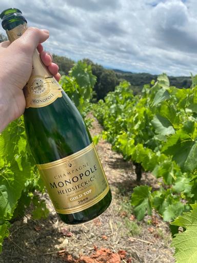 Heidsieck Monopole Gold Top