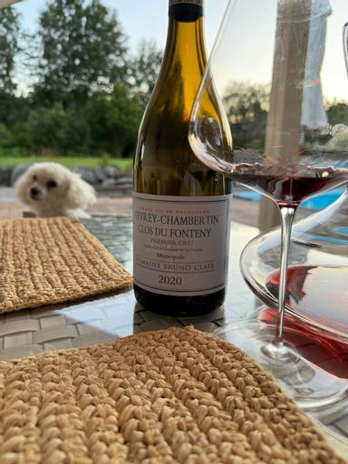 Domaine Bruno Clair Gevrey-Chambertin Premier Cru Fonteny