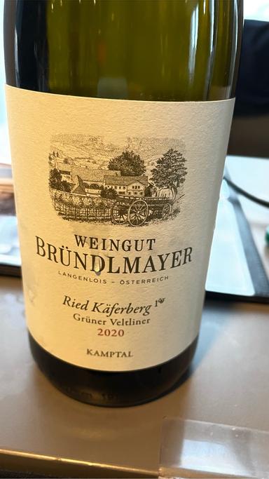 Willi Brundlmayer Kaferberg Gruner Veltliner Kamptal