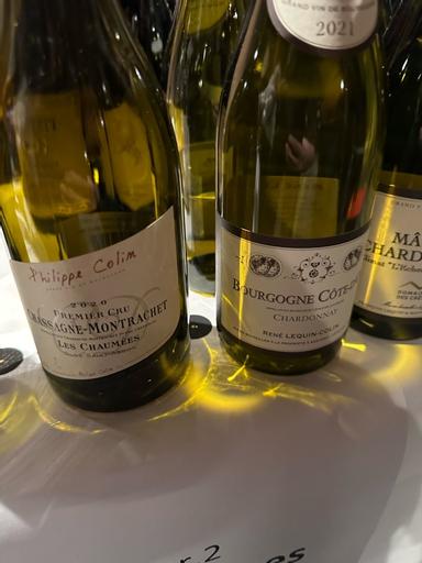 Philippe Colin Chassagne-Montrachet Premier Cru Les Chaumees Clos Saint-Abdon