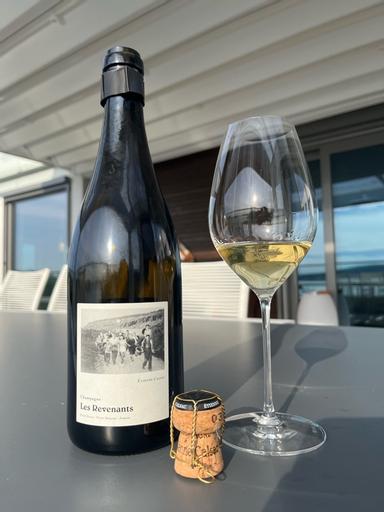 Etienne Calsac Les Revenants