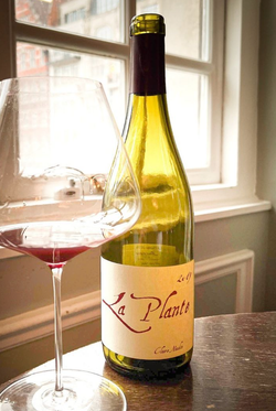 Henri Naudin-Ferrand (Claire Naudin) Bourgogne La Plante