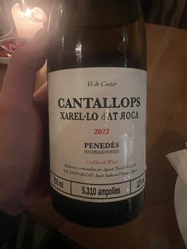 AT Roca Xarel-lo Penedès