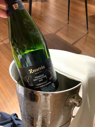 Recaredo Corpinnat Terrers Brut Nature Gran Reserva