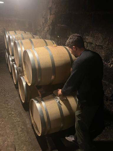 Chateau Tertre Roteboeuf Saint-Emilion Grand Cru