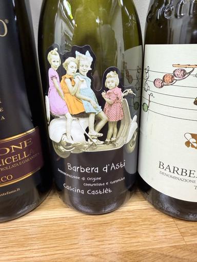 Cascina Castlet Barbera d'Asti