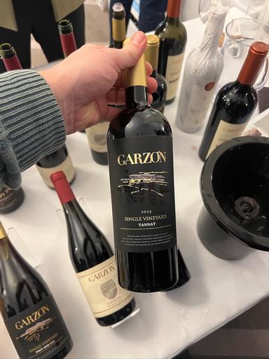 Garzon Single Vineyard Tannat