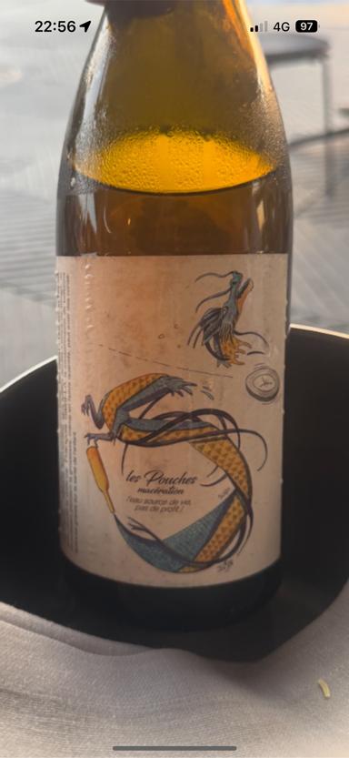 Francois Saint-Lo Les Pouches maceration VdF
