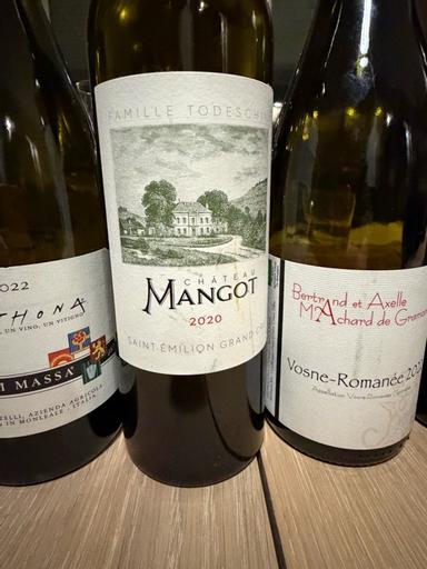 Chateau Mangot Saint-Emilion Grand Cru