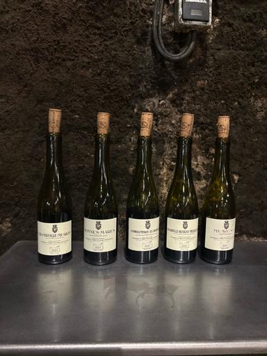 Domaine Comte Georges de Vogue Chambolle-Musigny Premier Cru Les Amoureuses