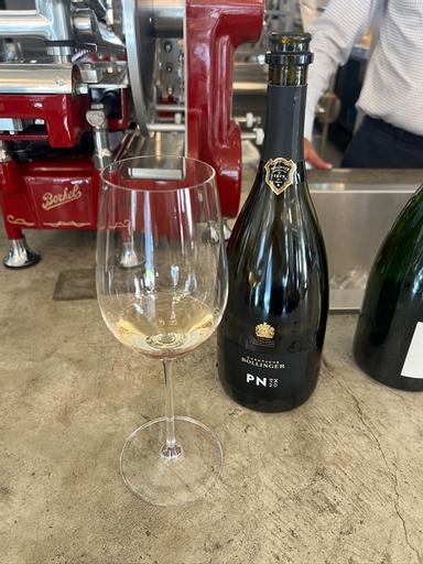 Bollinger PNTX20