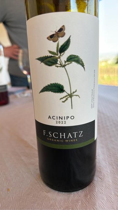 Schatz H Acinipo