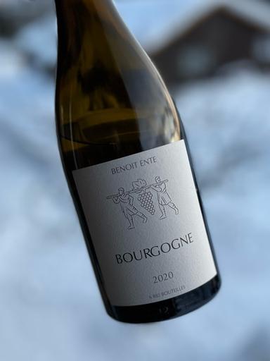Benoit Ente Bourgogne