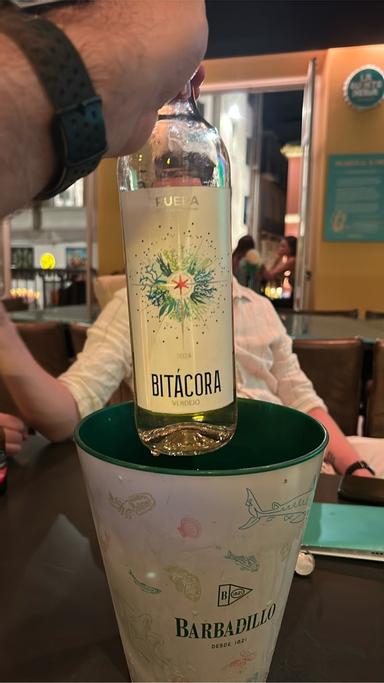 Althaia Artesana Bitacora IPA
