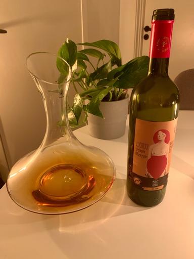 Wine Thieves Saperavi Qvevri