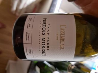 Pertois-Moriset L'Assemblage Brut Champagne