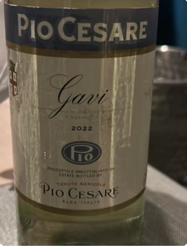 Pio Cesare Gavi