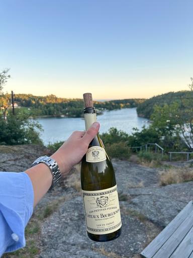 Maison Louis Jadot Coteaux Bourguignons Rouge