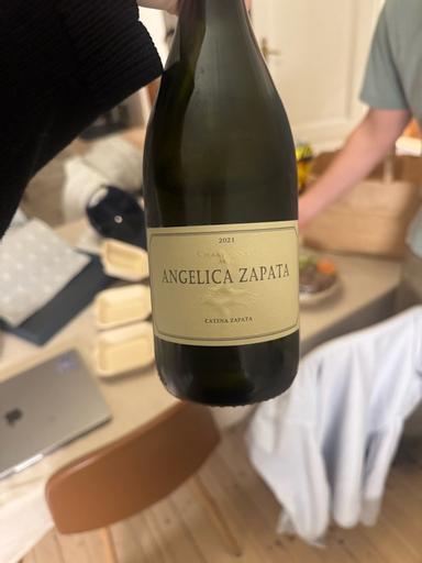 Catena Zapata Angelica Zapata Merlot Alta Mendoza