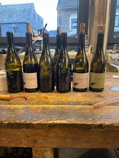 Daniel Twardowski Pinot Noix Ardoise Mosel