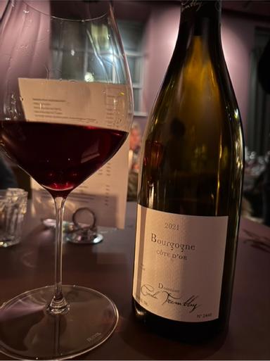 Domaine Cecile Tremblay Bourgogne Rouge
