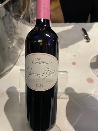 Chateau Joanin Becot Castillon-Cotes de Bordeaux
