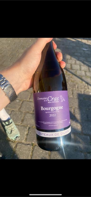 Domaine de la Cras Marc Soyard Bourgogne Pinot Noir