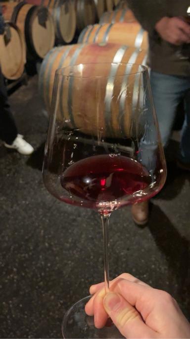 Daniel Twardowski Pinot Noix Ardoise Mosel