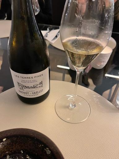 Dhondt Grellet Les Terres Fines Blanc de Blancs Premier Cru