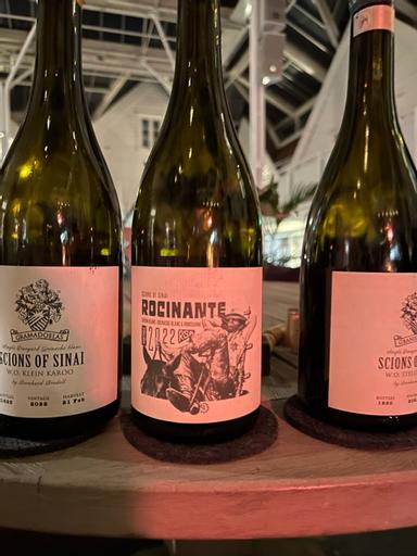 Scions of Sinai Rociante Blanc Stellenbosch