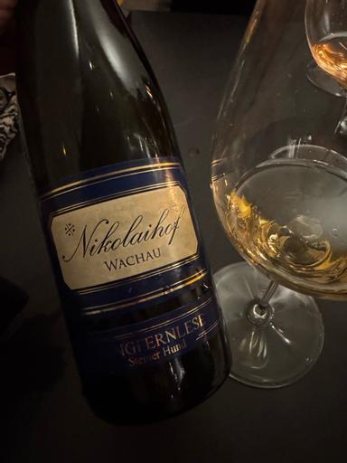 Nikolaihof Steiner Hund Jungfernlese